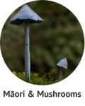 maori-mushrooms