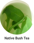 native-bush-tea