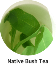 native-bush-tea