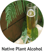 Native Plant Alcohol.png